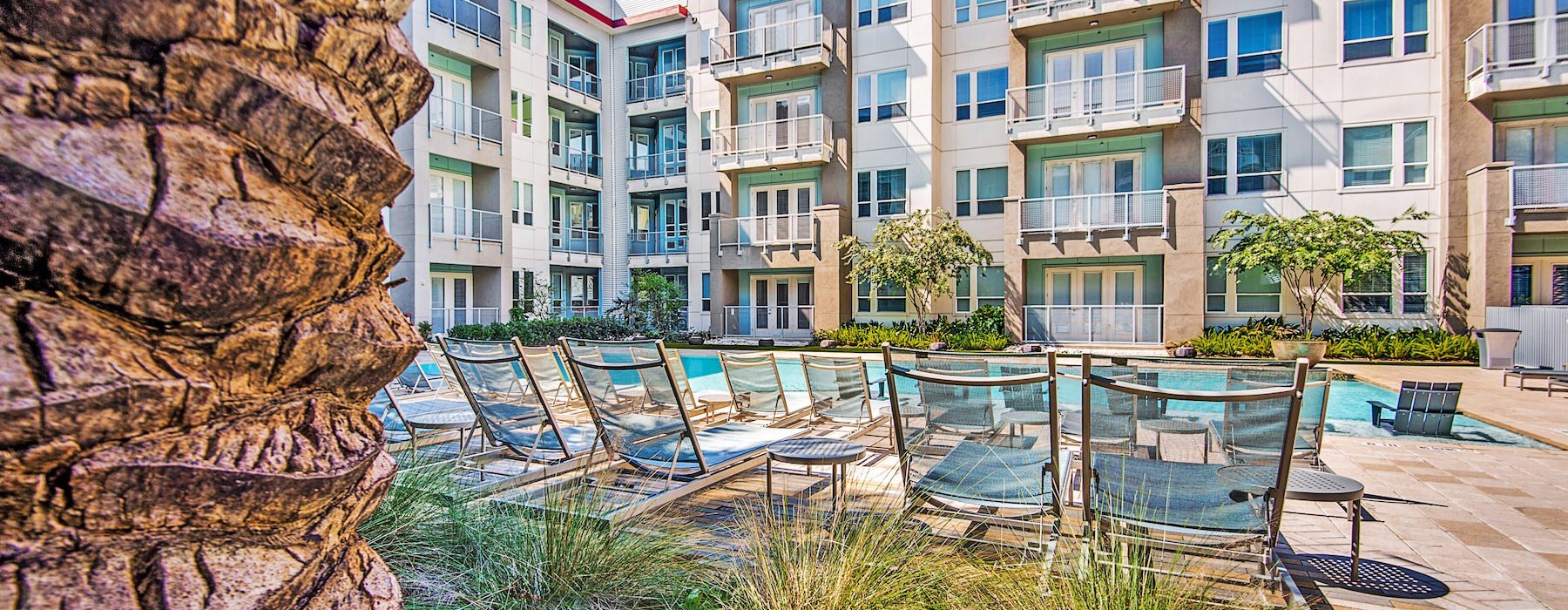 a palm tree by a pool with chairs